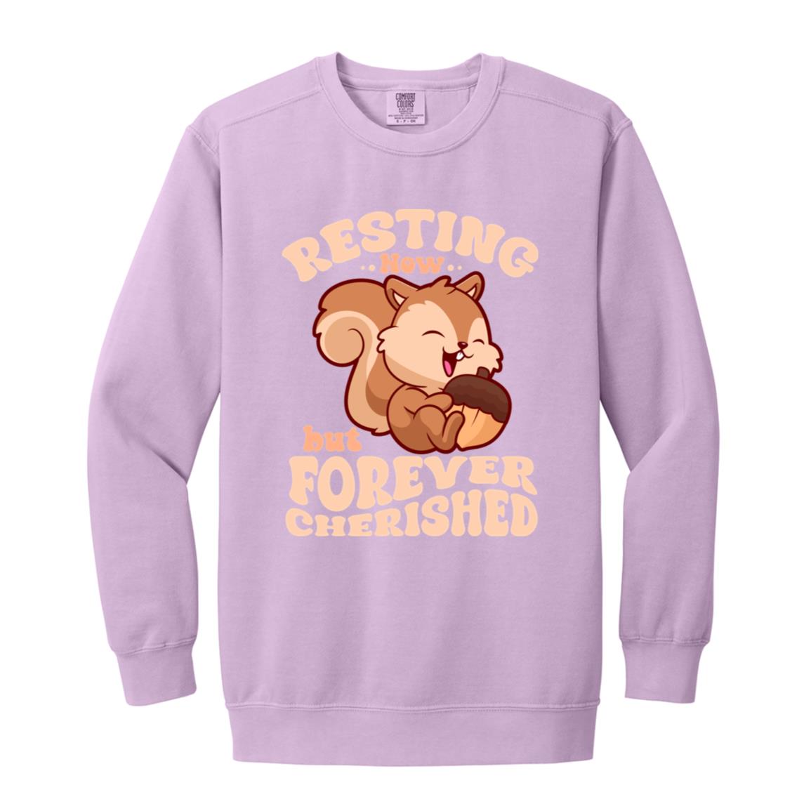 Resting Now but Forever Cherished Memorial Sweatshirt – Cute Squirrel Design, Bereavement Apparel, Remembrance Gift, Sympathy Hoodie for Comfort and Support