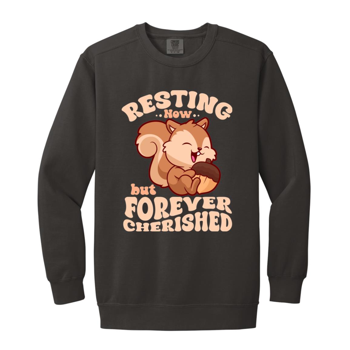 Resting Now but Forever Cherished Memorial Sweatshirt – Cute Squirrel Design, Bereavement Apparel, Remembrance Gift, Sympathy Hoodie for Comfort and Support